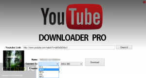 Jerry YouTube Downloader Pro Crack Key